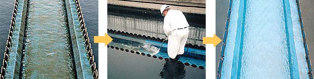 高圧洗浄による藻の除去