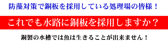防藻対策で銅板を採用している処理場の皆様！これでも水路に銅板を採用しますか？銅製の水槽では魚は生きることが出来ません！
