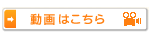 動画はこちら